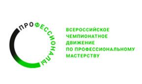 Профессионалы 1